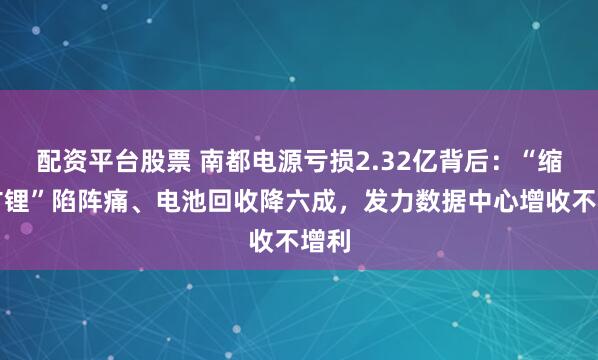 配资平台股票 南都电源亏损2.32亿背后：“缩铅扩锂”陷阵痛、电池回收降六成，发力数据中心增收不增利