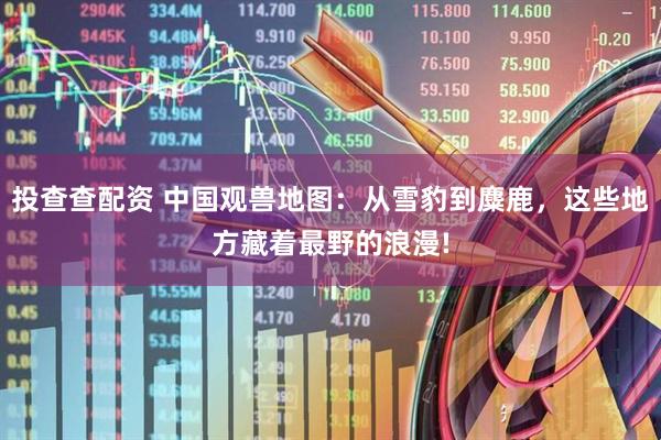 投查查配资 中国观兽地图：从雪豹到麋鹿，这些地方藏着最野的浪漫!